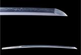 Real Steel Blade For Japanese Samurai Katana /Wakizashi/ Tanto Sword 1095/ T10 Steel Material